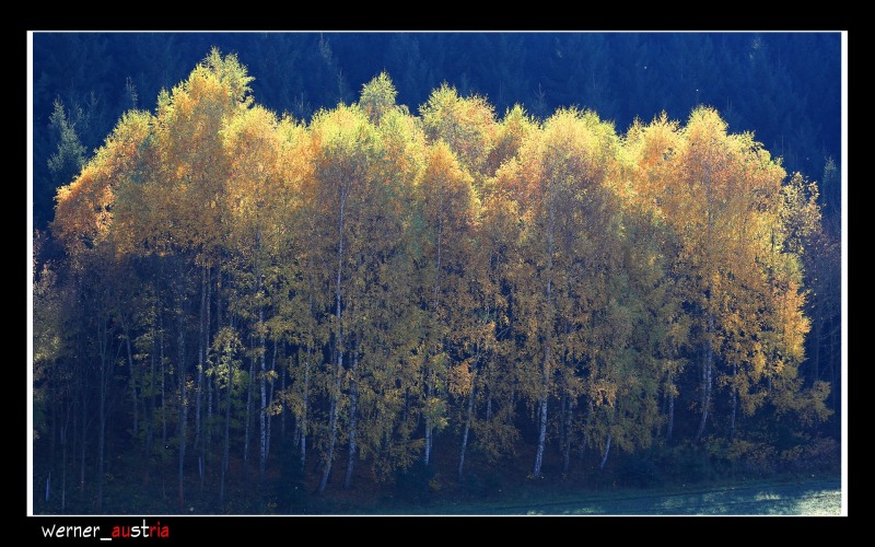 Homepage von Kim Kopacka